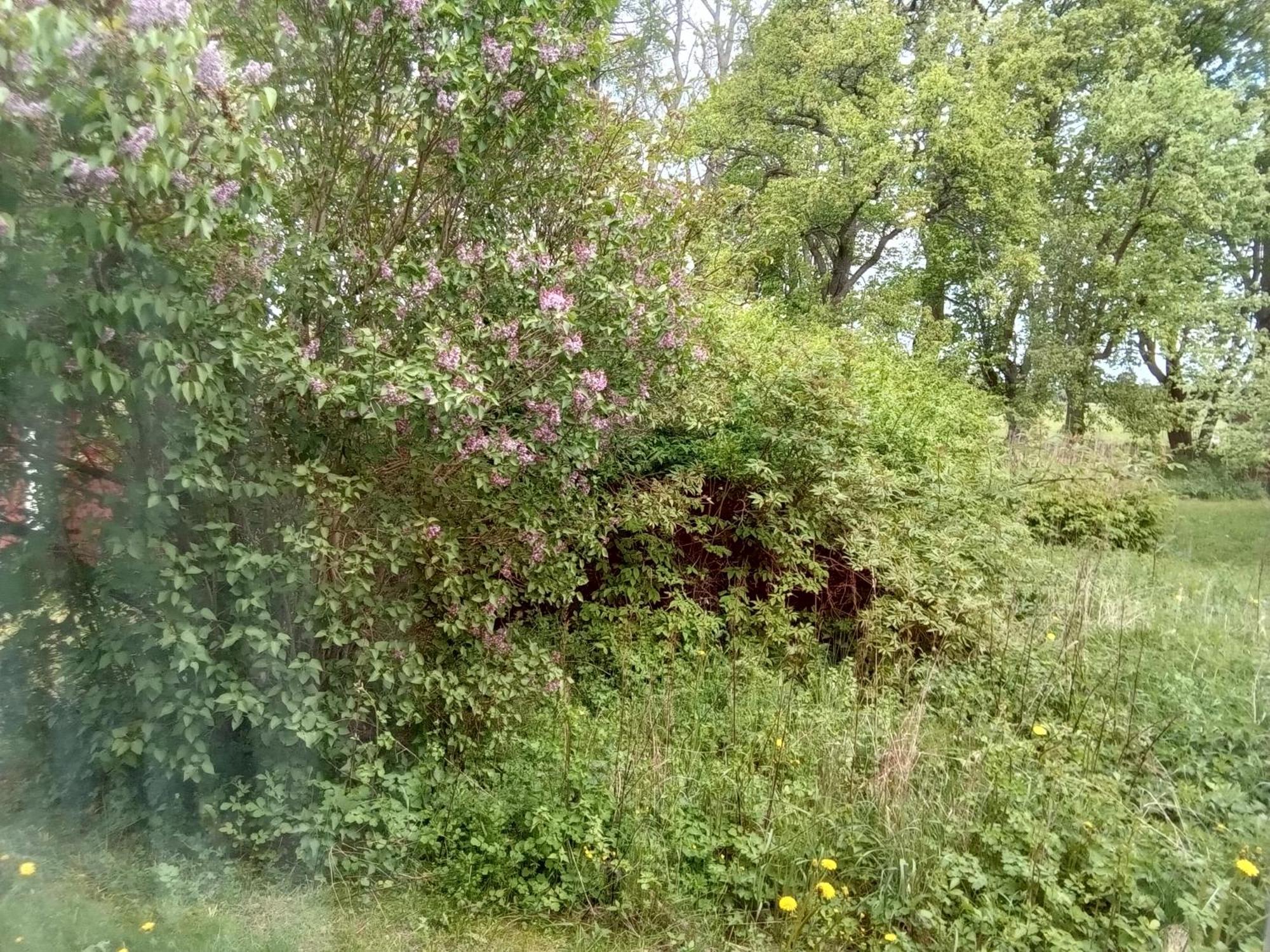 Enköping Enecopia Bed & Breakfast المظهر الخارجي الصورة