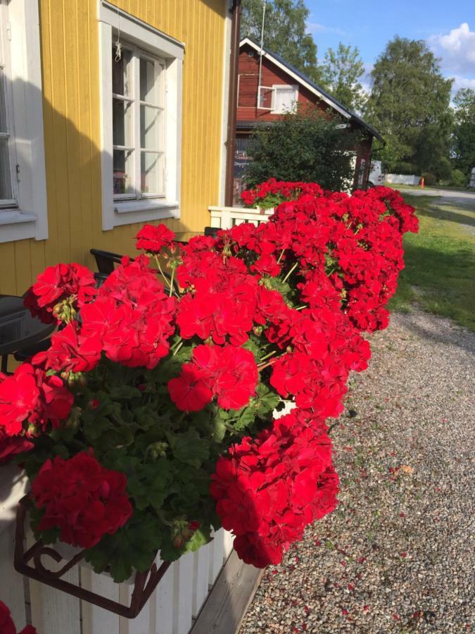 Enköping Enecopia Bed & Breakfast المظهر الخارجي الصورة